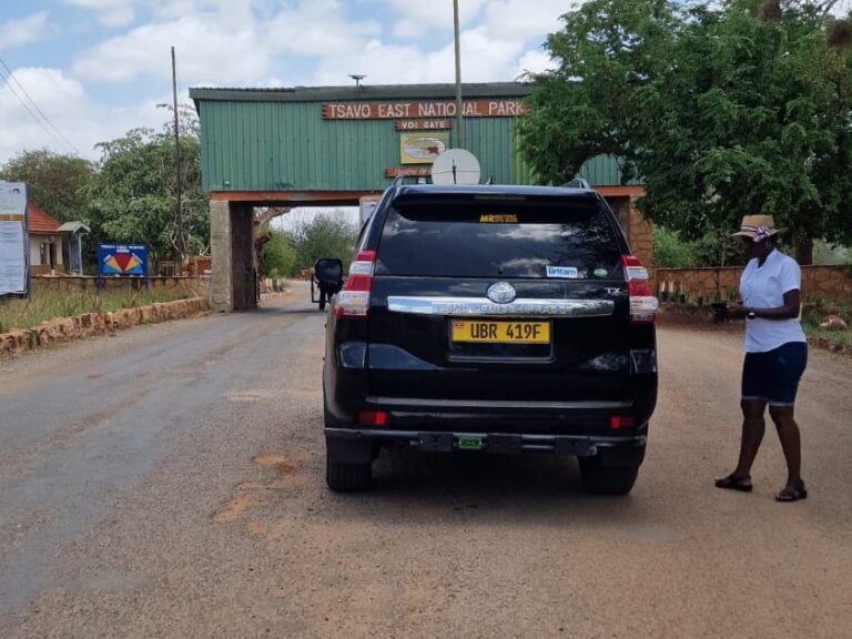 Gate Photo with me 1